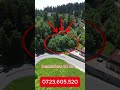PREDEAL - Trei Brazi - Teren intravilan- 800 mp