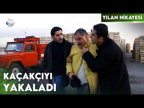 Memoli, Tarihi Eser Kaçakçılarının Peşinde! - Yılan Hikayesi