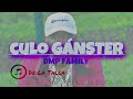 Culo gnster by delatalla dmpfamily oficial music audio
