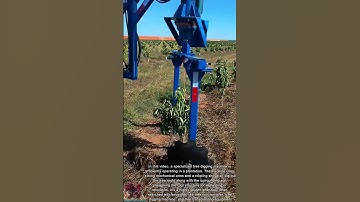 How to Dig a Tree Fast || Tree Removal Equipment