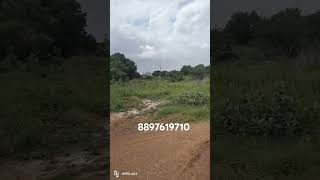 Amravati capital area NRi  hospital distance west bypass ki 50 meter distance 200 for sale