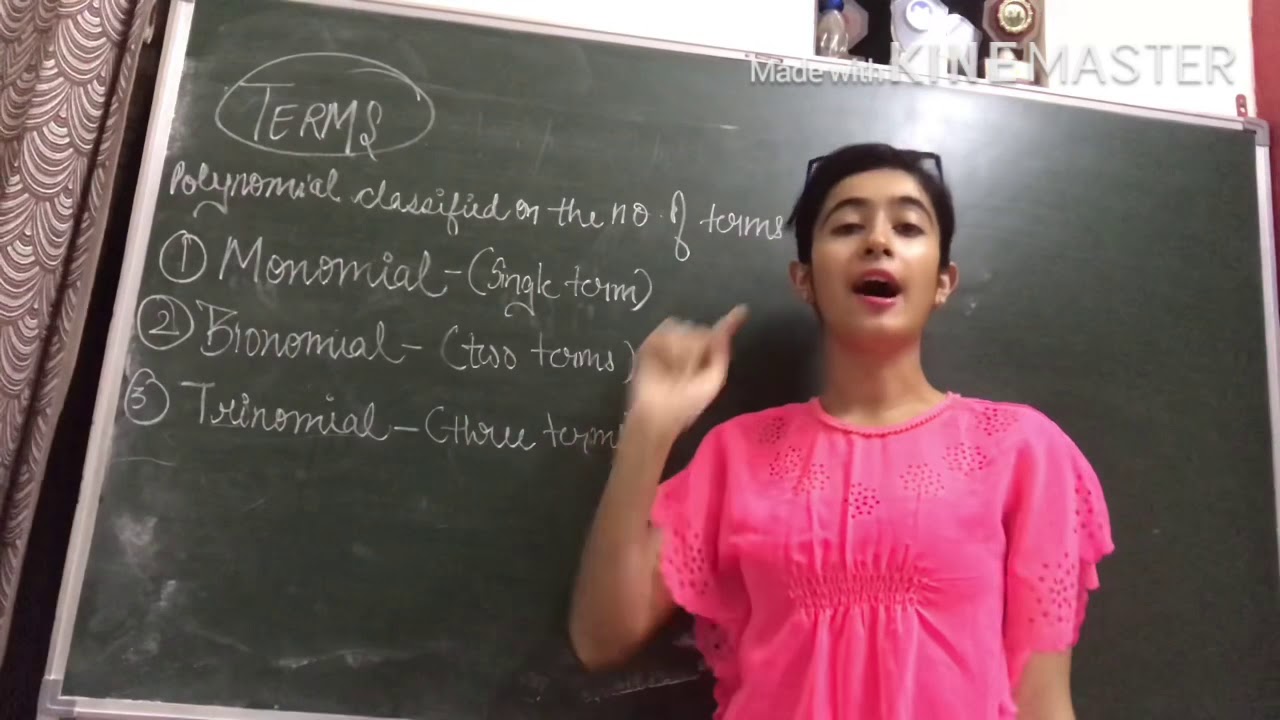 Polynomials Basic Explanation - YouTube