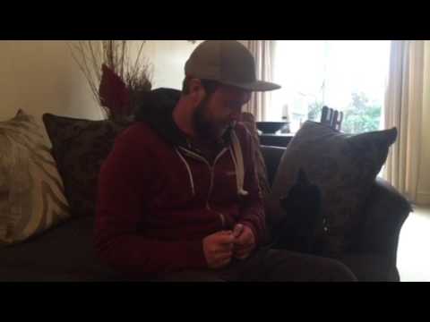 Nervous Chihuahua Home Visit smaller