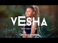 Bongo Fleva X Dance Hall Instrumental Type Beat Vesha
