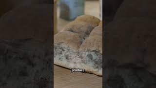Famous Shocking FACTS About Moldy Bread Profile