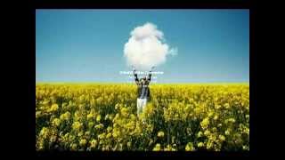 Daniel Steinberg - Joy & Happiness (CohEn Remix)