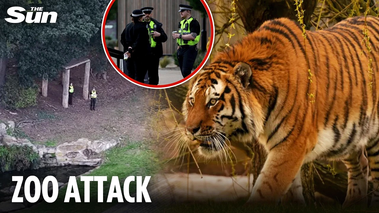Man killed by tiger at UK wildlife park 'posed for pic & danced before jumping into pen'