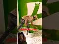 @Pentar.Ajay.Official.2 #wall #wallcoverings