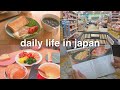 Living in Japan Daily Life Vlog 🇯🇵 Grocery Shopping & Home Cooking