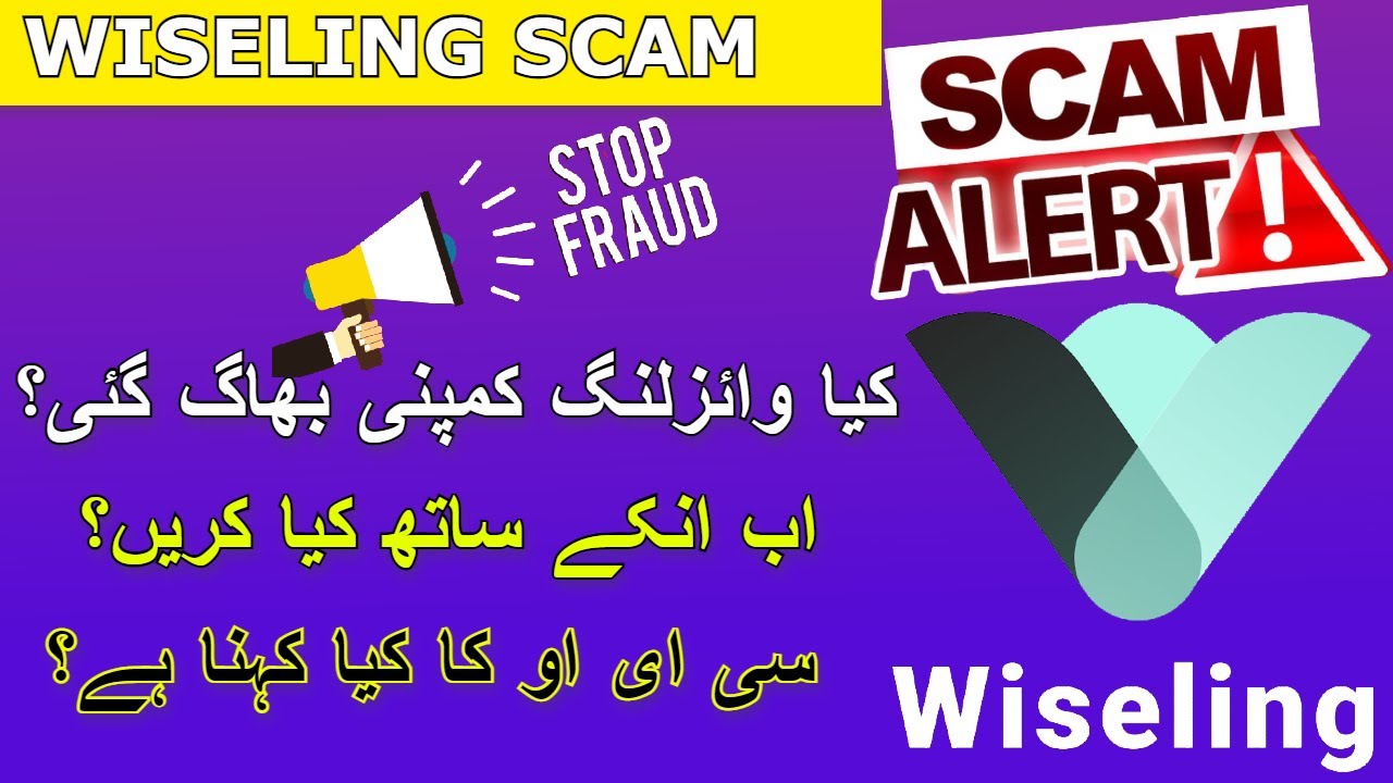 Wiseling Scam | Wiseling Update In Urdu/Hindi 2021 | Wiseling Withdrawal issue 22 Feb 2021| Wiseling