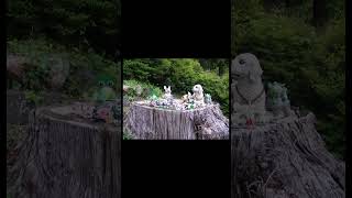 #オールドコンデジ #オールドデジカメ #フォトウォーク #カメラ初心者 #御朱印 #菱野健功神社 #shorts #voicevox #ずんだもん