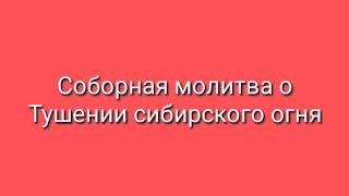 МАКСИМУМ РЕПОСТ. ЗАВТРА БОЛЬШАЯ МОЛИТВА. О ТУШЕНИИ СИБИРСКОГО ОГНЯ.