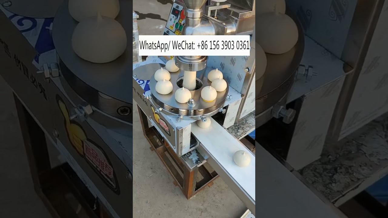 Tabletop steamed stuffed bun maker momo BAOZI making machine 包子机