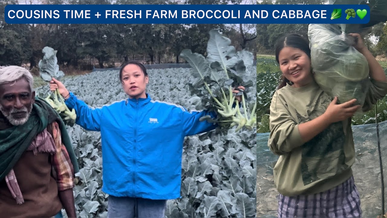 Cousins Time + Fresh Farm Broccoli and cabbage 🥬 🥦💚