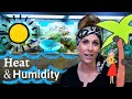 Hermit Crab Heat & Humidity || Tat Chats