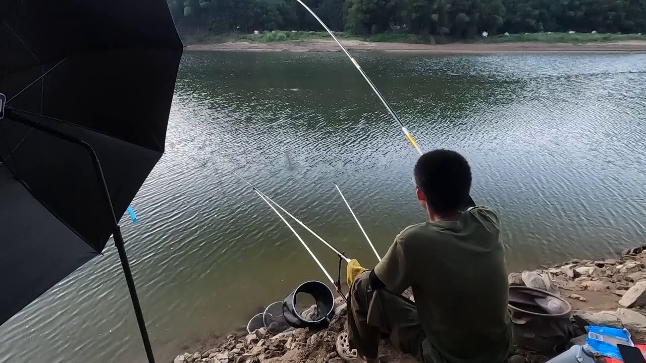 游钓广西一个星期，终于钓到大鱼了