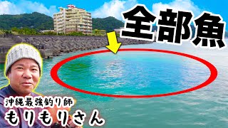 【圧倒的技術】沖縄最強の漁師がミジュンの群れを狙ったら凄すぎた！