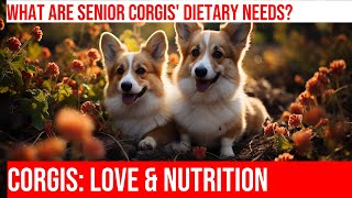 Feeding Your Senior Pembroke Welsh Corgi: Nutrition Tips