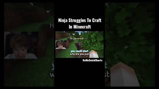 Ninja Struggles To Craft While Lava Is Rising!! screenshot 3