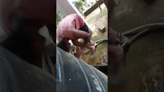 Water Filter Wash Kore Hoi Asa Aji