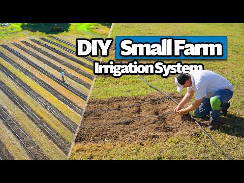 Video thumbnail: drip tape being laid out on farm beds