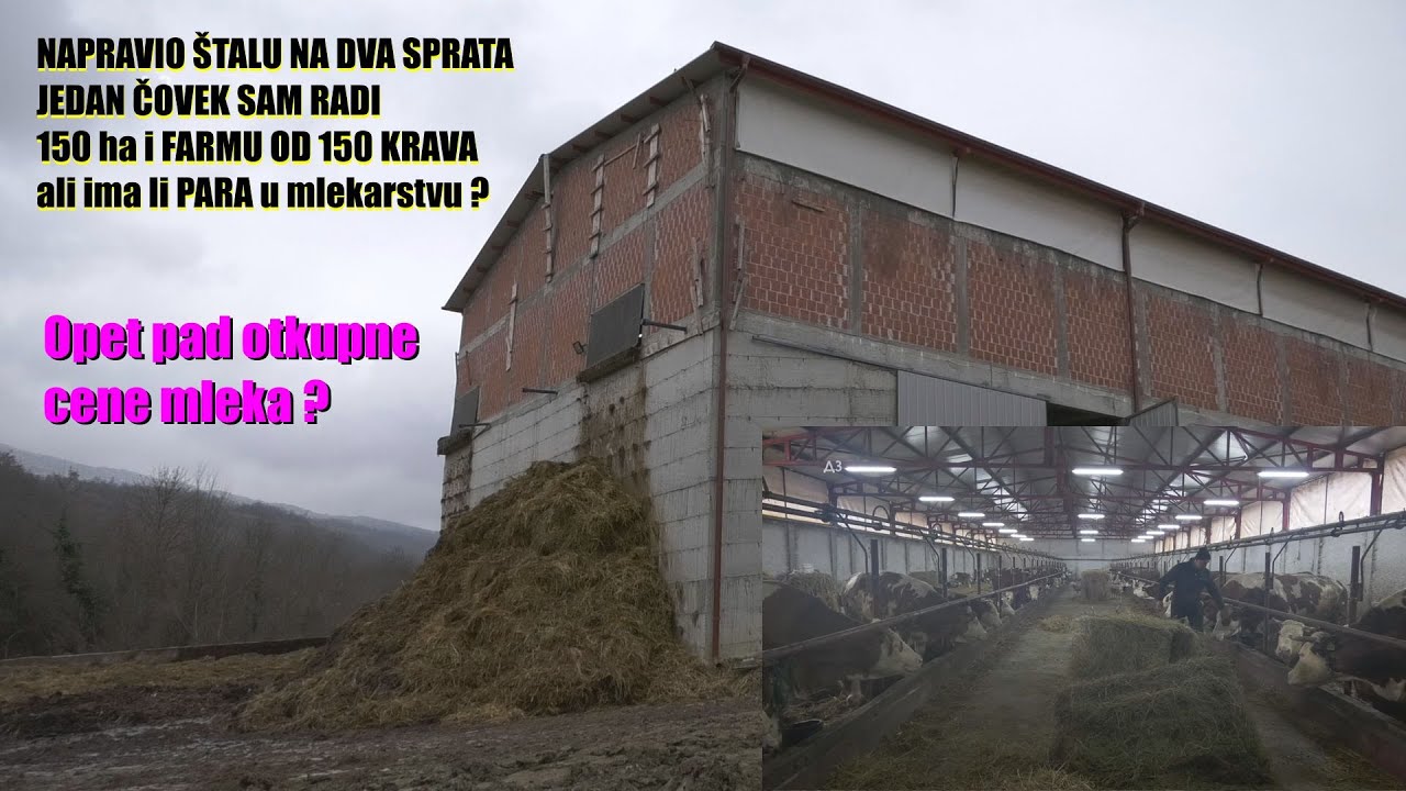 Štala na DVA SPRATA - ogromna ulaganja - DOKTOR koji sam brine o 150 grla stoke i radi 150 hektara