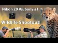 Nikon Z9 vs. Sony a1 - WILDLIFE SHOOTOUT!