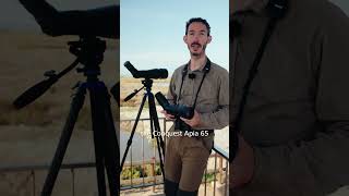 Bigger Isnt Always Better Javier Explains