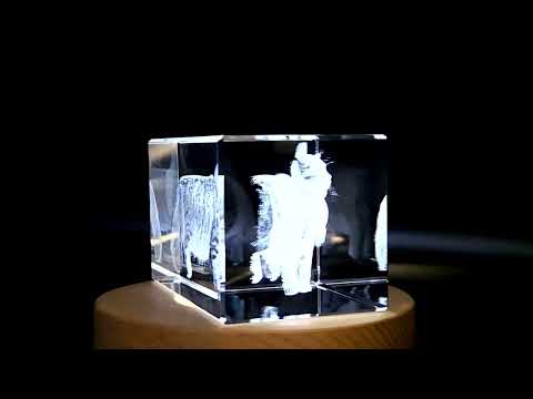 Unique 3D Engraved Crystal Statue Siberian Cat - FSCAT16