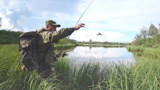 РЫБАЛКА НА ЛЕСНОМ ОЗЕРЕ. ЛОВЛЯ ЩУК И ОКУНЕЙ НА СПИННИНГ.