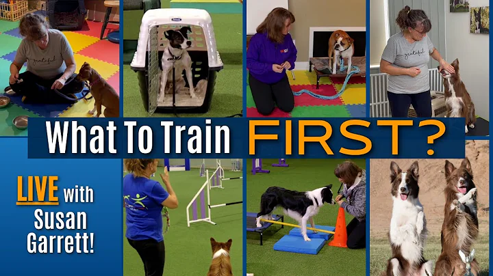 Cyber Learning Ends & Your Dog's Next Steps