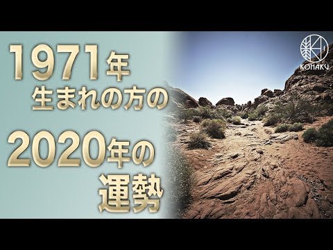 2021 1 Tv