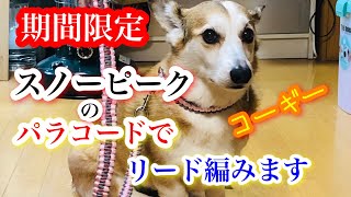 スノーピークのパラコードで首輪とリード編みます！ [ 期間限定企画❣️ ]