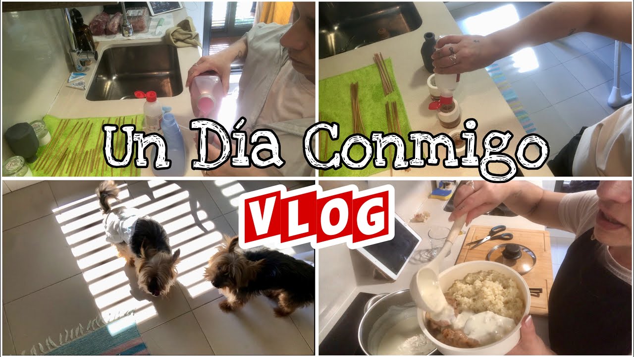 ✅Vlog De Prueba✅//🌸Ambientadores Caseros🌸//🐶Rony Se Hace Mayor🐶// MariVlog