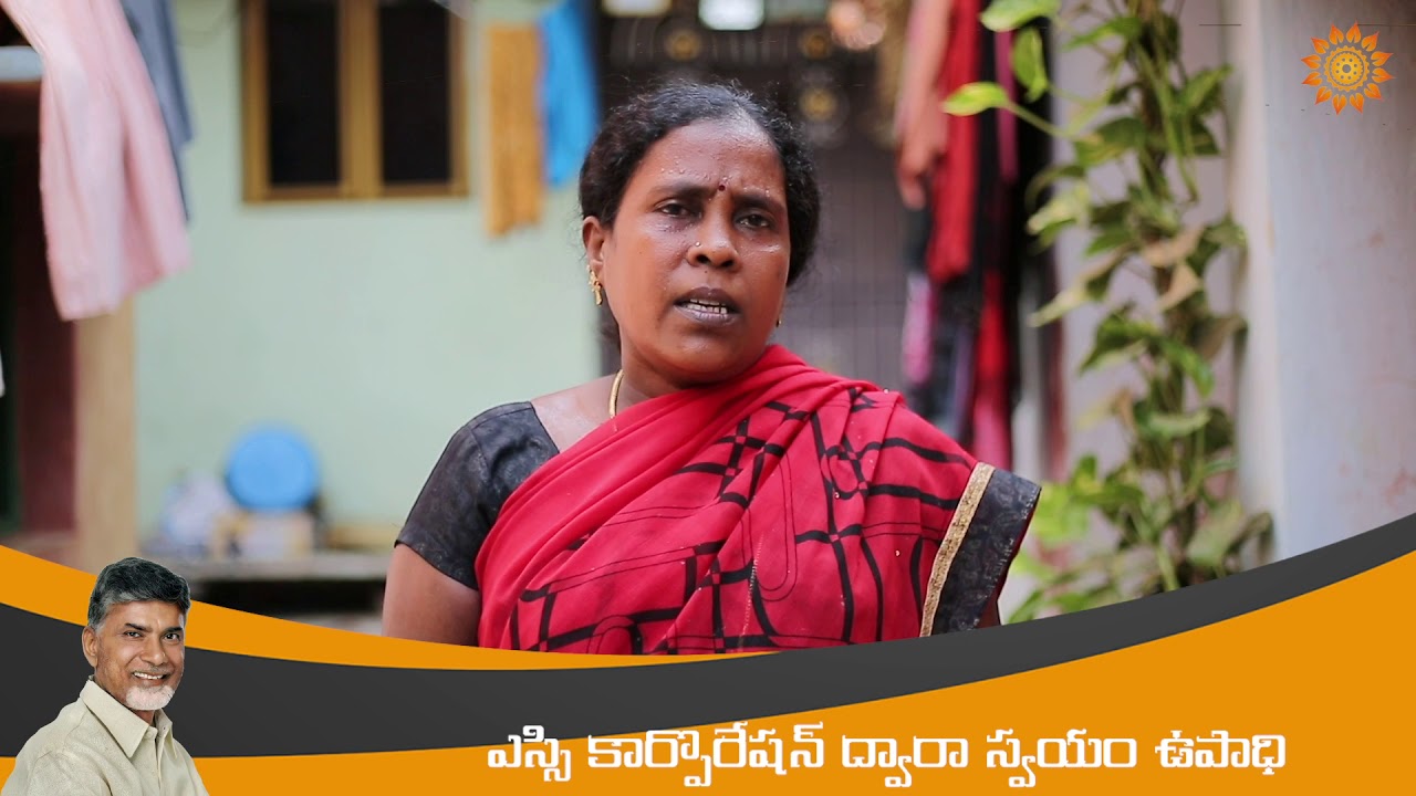 Loans through SC corporation | Nellore District