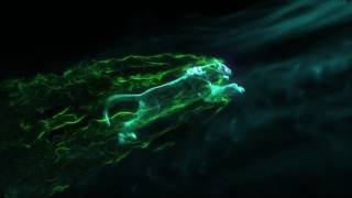 Panther Dark Smoke Reveal After Effects Template