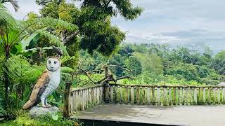 Kebun Binatang Tasta Terkeren di Bali screenshot 2