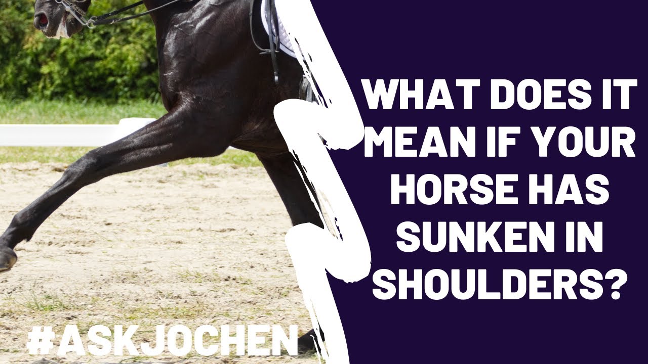 Horse with Sunken Shoulders | #ASKJochen | Livestream Q&A Excerpt - YouTube