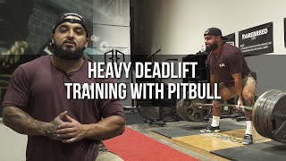 Heavy Deadlift Training with Pitbull screenshot 3