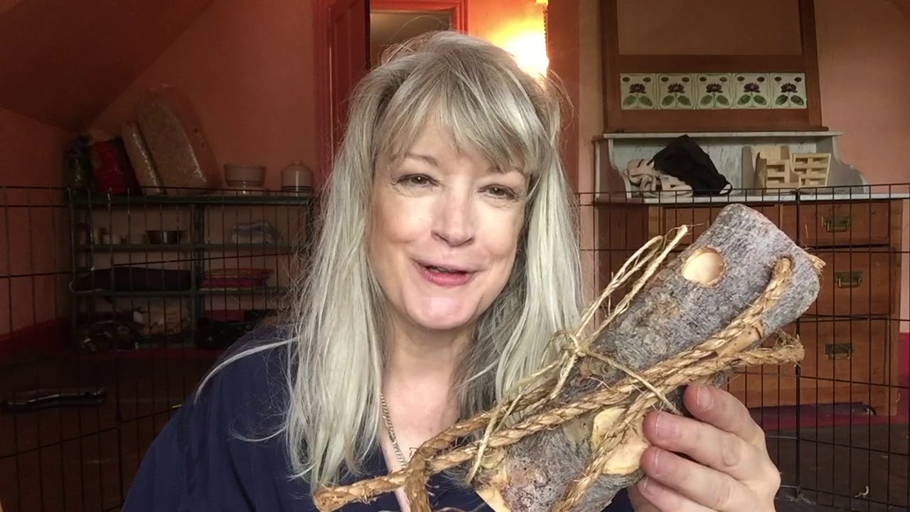 bunnies meaning in hindi apple wood hay and treat feeder toy