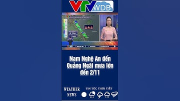 Nam Nghệ An đến Quảng Ngãi mưa lớn đến 2/11 | VTVWDB