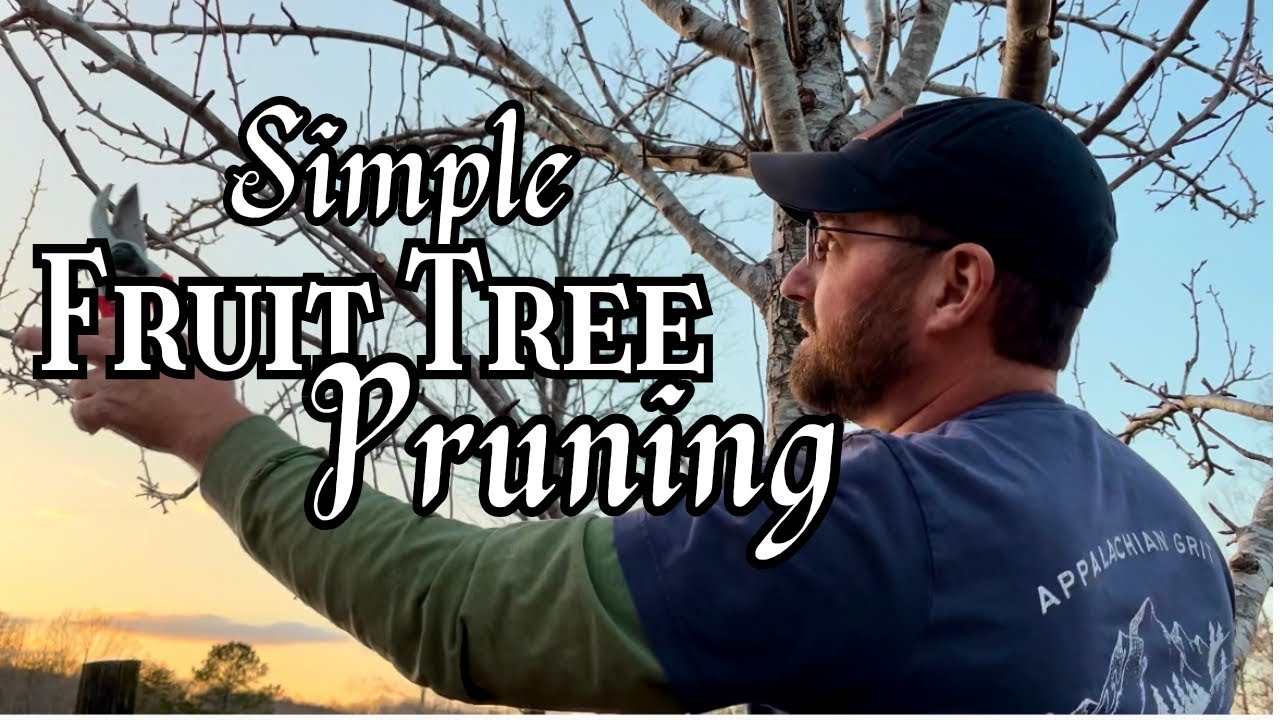 Let It Be a Tree | An Easy Guide to Pruning Your Fruit Trees | February ...