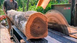 Menggergaji Kayu Jati Tengah Kebun  Mesin Serkel Rakitan