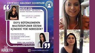 Duyu Bütünlemenin Multidisipliner Sistem İçindeki Yeri