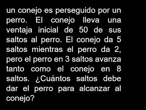 un conejo es perseguido por un perro El conejo lleva una ventaja inicial de 50 de sus saltos al perr