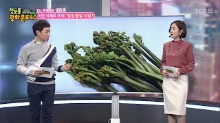 ‘발암 물질’유발하는 주의해야할 식재료 정리 [정보통 광화문 640] 81회 20171110