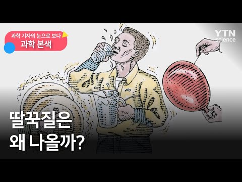 [과학본색] ② 딸꾹질은 왜 나올까? / YTN 사이언스