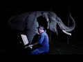 Playing moonlight sonata for an elephant