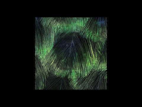 Matthias Meyer & Ryan Davis - Cafune
