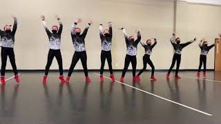 Mini/Middle HipHop @ TWD Lakeville 3/28 - GOLD placing!